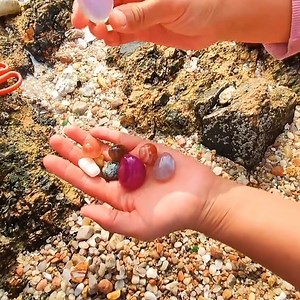 19K views · 668 reactions | I can find many giant seashells in the sea | Pitogo High School Official | Facebook