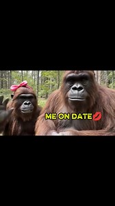 2.7K views · 12 reactions | Bigfoot on date with his girlfriend Barbara . . . #bigfoot #vlog #dailylife | According To Ai | Facebook