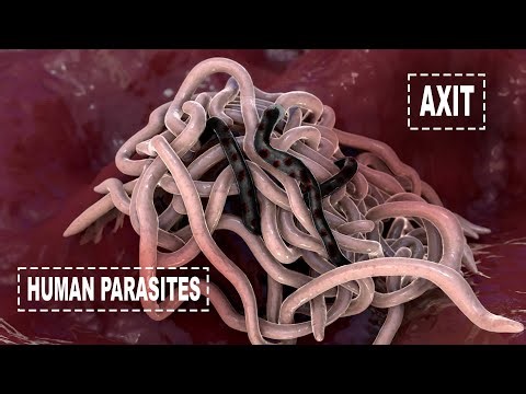 What Happens When Bleach Interacts With Parasites? | TULO - Microscope