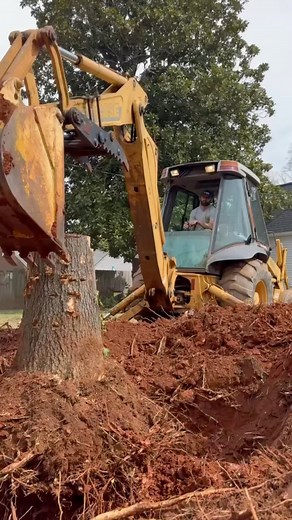 Digging up those stubborn stumps! #treeremoval #stumps #arborcare #treeworker #treework | Arbor Care