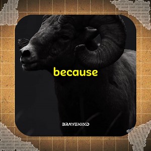 Never Ever Believe these words from a woman. | Brave Minds