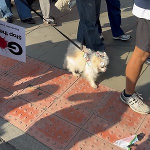 Tank Magazine on Reels