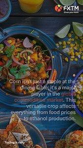 Corn-ucopia of opportunities! 🌽 Trade Corn CFDs with FXTM to harvest your sweet as corn trading profits. #corn #trading | FXTM