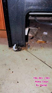 # #miamicleaningservices #miamicleaningcompany #cleaninghacks #homecleaningservice #miamicleaning | Mailen Mila Leyva