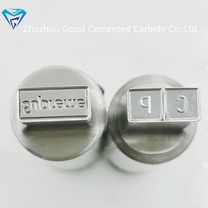 [Hot Item] Chinese Supplier 3D Supreme Cp Pattern Tablet Press Die Pressing Molding Candy Press Die Rotary Pressing Mold for Zp9/Zp10/Zp12/Zp33 Machine