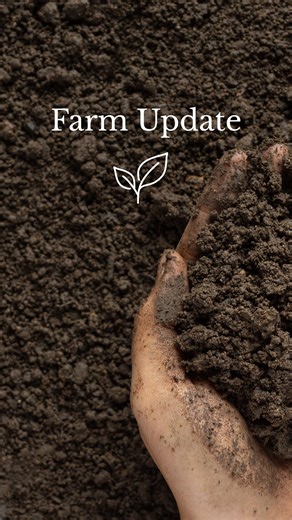 27 reactions · 4 comments | Mid-October Farm Updates  From seed saving to planting cover crops to putting the fields to bed for winter, our team is doing it all. We’re so thankful for their hard work and dedication through another beautiful season. Already dreaming of what’s to come next spring! #farmupdate #october #farming | Oregon's Wild Harvest | Facebook