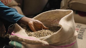 Unrecognizable African American man male guy coffee expert evaluate raw bean supply burlap bag quality agriculture stimulant texture inspection caffeine processing farm production ingredient warehouse