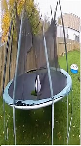 Jumping leads to trampoline disaster! �� | The Real BizMike