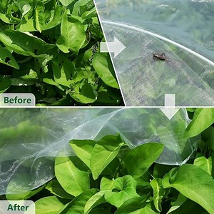 [Hot Item] Anti Insect/Mosquito /Insect Proof /Screen /Greenhouse Anti Insect Net