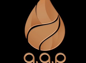 AAP European Perfumes on Reels