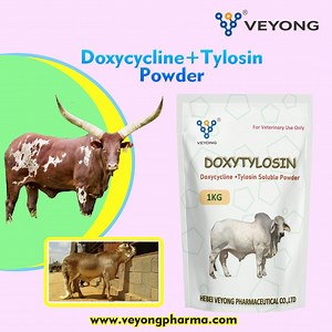 [Hot Item] Veterinary Medicine Intermediate Doxycycline Hyclate Powder CAS 564-25-0 Raw Material From China