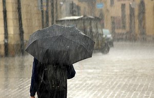 The Precise Pluviophile Definition