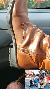 119 reactions · 14 comments | In Vancouver for a doctor appt. I have...