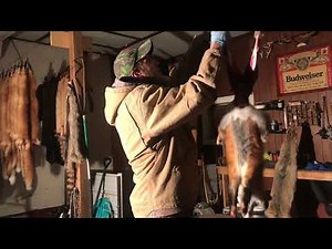 Fur Handling - Red Fox Skinning