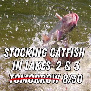 Santee Lakes on Reels