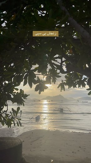 36 reactions | دل ہی دُکھانے کیلیے  | Urdu Poetry Collection اردو شاعری مجموعہ | Facebook