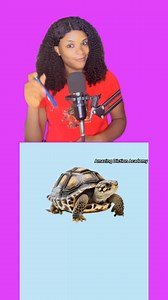 1.6K views · 23 reactions | Names of sea creatures. #learnwithprecious #vocabulary #seafood #pronunciation | Precious Chibuzor Eke | Facebook