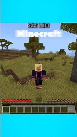 Minecraft but Language changes Every 60 Sec #minecraft #shorts #funny