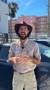 7.8K views · 125 reactions | Osprey camera update from Ranger Rob! 諸襁 | Pink Shell Beach Resort & Marina | Facebook