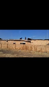 #PalmridgePowerUpdate | Bonga Okhethiweyo Mthembu