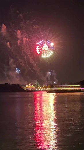 Happily Ever After from the Transportation & Ticket Center #waltdisneyworld #magickingdom #transportationandticketcenter #happilyeverafter #disneyfireworks #fireworksfriday #disneyover50 | DisneyOver50