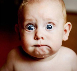 Bed bugs | how to get rid of bed bugs | bed bugs in perth