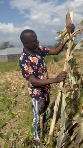 11K views · 292 reactions |  Scouting for Harvest: The Results Are...