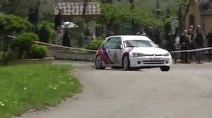 12K views · 121 reactions | #rally #peugeot106 #peugeot #106 #106kitcar #106maxi #peugeot106rallye #peugeotsport #motorsport | '' Rally '' | Facebook
