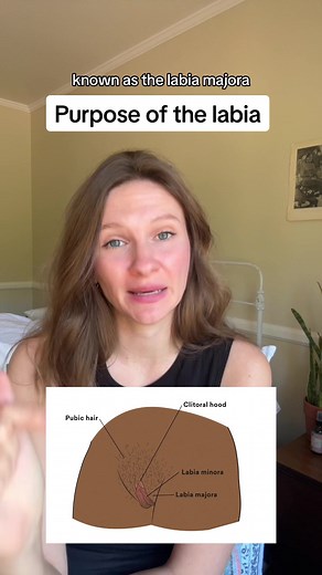 Understanding the Purpose of Labia: Pleasure and Protection Explained