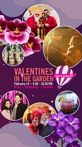❤️ 𝐕𝐚𝐥𝐞𝐧𝐭𝐢𝐧𝐞𝐬 𝐢𝐧 𝐭𝐡𝐞 𝐆𝐚𝐫𝐝𝐞𝐧: 𝐋𝐨𝐯𝐞 𝐢𝐬 𝐢𝐧 𝐭𝐡𝐞 𝐀𝐢𝐫 ❤️ Romance blooms with global food fun | Atlanta Botanical Garden