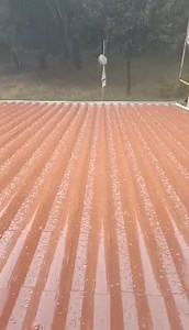 Regional Express on Reels | Facebook