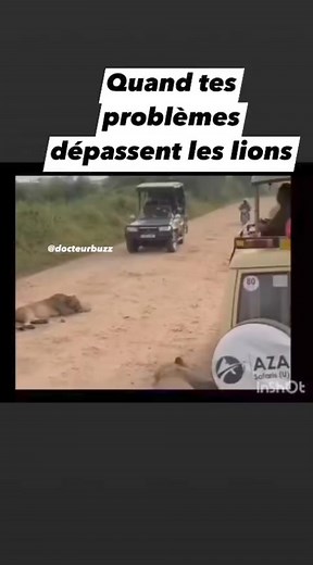 18K views · 119 reactions | 藍藍藍 | Culture Guinee | Facebook