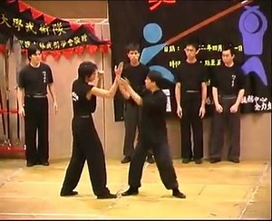 Sanjiegun, Tanglangquan & Hung Gar Applications | Jiayoo Wushu