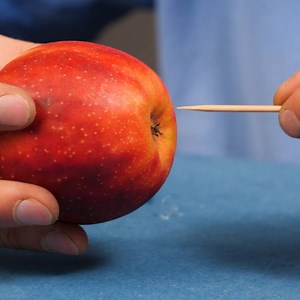 Making An Enchanted Apple | Awesome