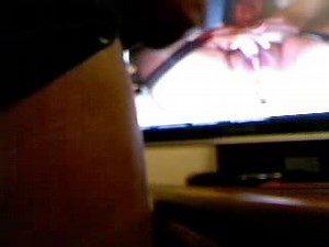 tribute for hornybibbw