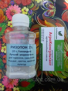 Препарат Різопон / Rhizopon Powder АА 1%, 25 грам найкращий укорінювач для рослин, Rhizopon BV, ціна: 240 ₴, купити на Prom.ua