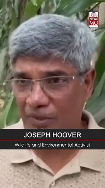 1.4K views | A leopard had Bengaluru on its toes but ultimately met a tragic demise and has the residents and environmentalists up in arms. Spotted near MS Dhoni International, School, Bengaluru's E-City and near Brookfield and Kudlu Gate. As per the Chief Conservator of Forests, the leopard was shot during the operation as it tried to attack an official, sparking a debate about handling of the situation. #NewsMo #bangalore #leopard | India Today | Facebook