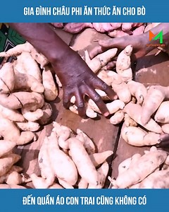 353K views · 9.8K reactions | Gia đình châu Phi ăn thức ăn cho bò đến quần áo con trai cũng không có #khampha #bộlạc #châuPhi | Yêu Báo | Facebook