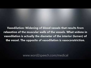 Vasodilation - Medical Meaning and Pronunciation