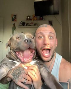 Dog imitates his owner perfectly 😂 | Chocolates Lovers