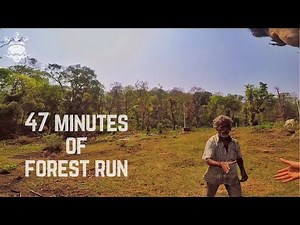 47 minutes of Forest Run - ISOUL - GoPro Man