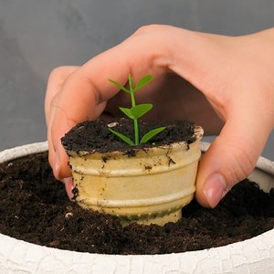 677K views · 1.8K reactions | Easy gardening tips to make any plant grow: | Smart is the New Sexy | Facebook