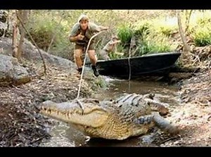 Steve Irwin - Crocodile Hunter - Tribute RIP