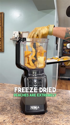 We Made Peach Powder! #freezedriedpeaches #peachpowder #driedpeachpowder #freezedried #freezedriedfood #freezedriedpowder #freezedriedflavor #freezedriedsnack #sharethis #viral Ja'Mae Pehrson-Whiteleather | Whitepepper Farms Homestead