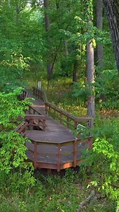 1.9K views · 50 reactions | POV you’re a bird migrating along the...