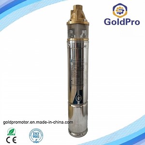 [Hot Item] Brass Impeller Submersible Borehole Pump with Control Box for Agriculture Use