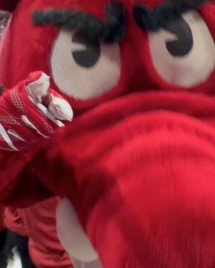 University of Arkansas on Reels