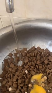 517K views · 5.5K reactions | TLC MEANS. . TENDER LOVE & CARE. .WORKS ANYDAY. DOGS UNDERSTAND THE LANGUAGE OF LOVE. WHEN THEY FEEL LOVED THEY RESPOND. THIS IS YET ANOTHER CASE. . . #viralreelschallenge2025viralreelschallengejaiviralreelschallengeviralreelschallenge #doglover #mastiffsofinstagram #boerboel #boerboelmastiff #bulldog #fypchallenge #dogrescue #fypreelsシ゚viralシ #vitalreels #dogfoodrecipe | Pawfarm Boerboel | Facebook