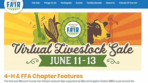 Merced County Fair holding 'virtual livestock auction' to support students