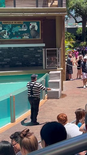 59K views · 817 reactions | Sober check by the legendary mime artist! #Tom #thefamoustom #tomvibes #funvibes #welovetom | Sheramae Joyce Valera | Facebook